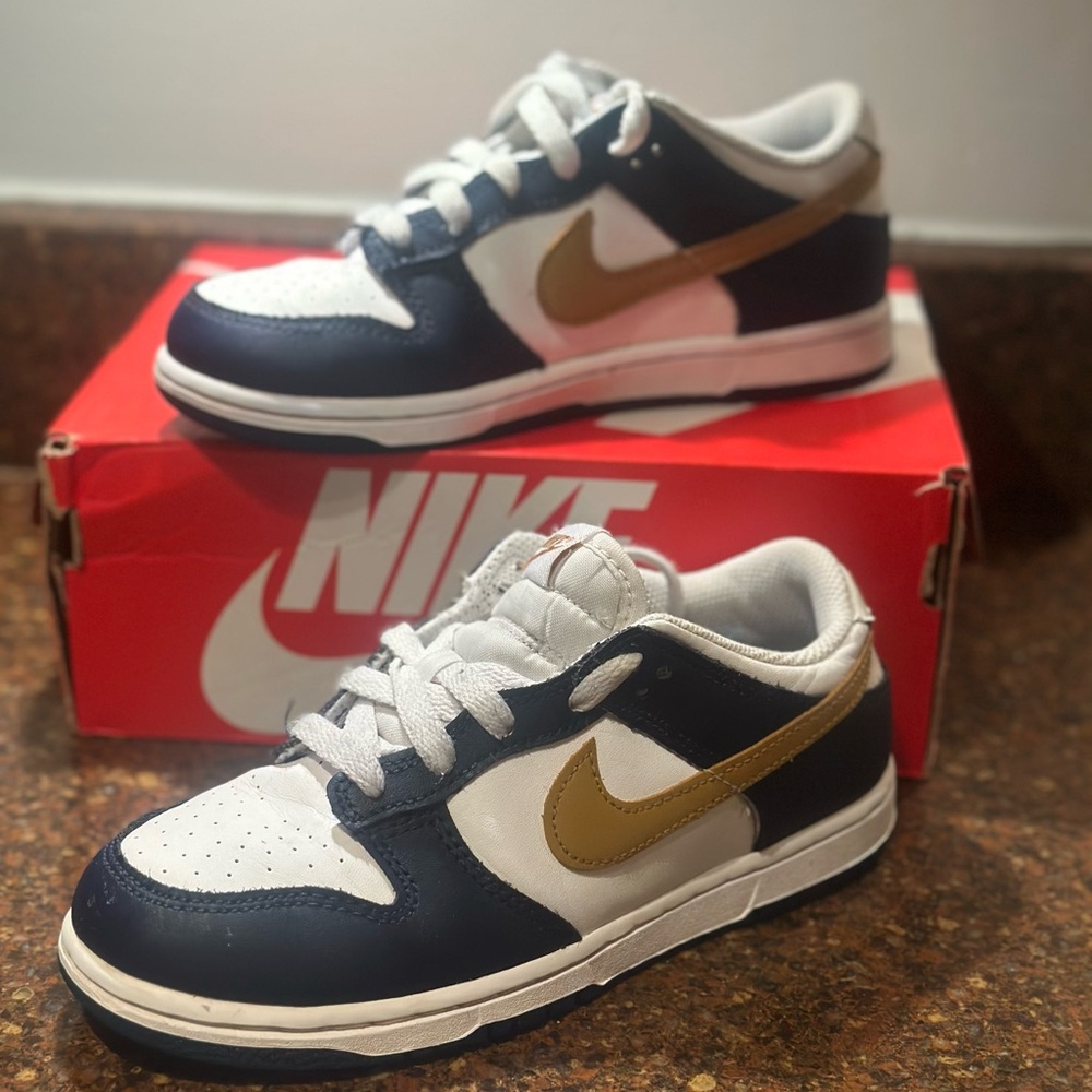 Kids Nike Dunks